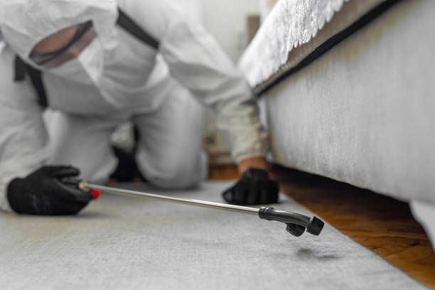 Professional Termite Control technician working in North Key Largo, FL