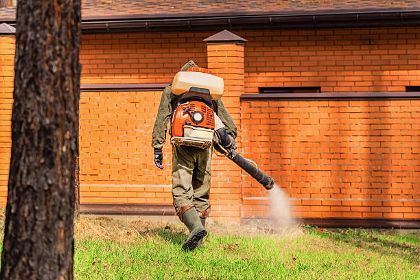 Trusted Termite Control service in North Key Largo, FL - Nex Pest Control